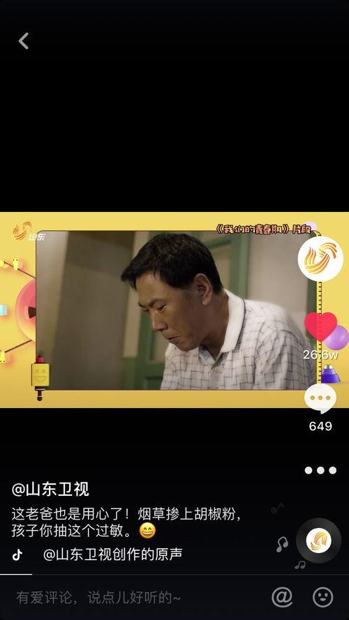 毛人龙被爆料视频播放在线观看,揭秘事件背后真相  第2张